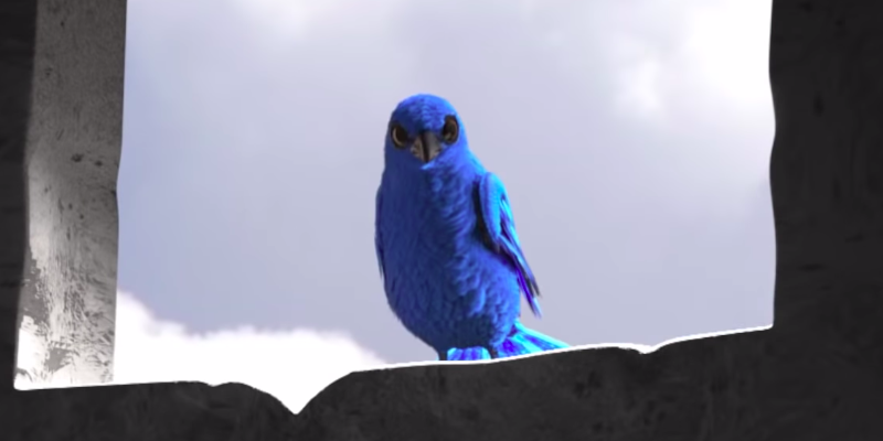 Passaro Azul Lugar Nenhum